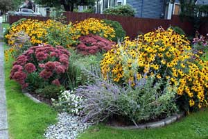 puyallup-raingarden